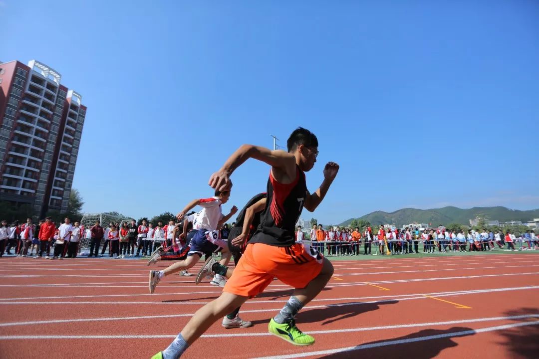  青春风暴席卷赛场新锐展露锋芒